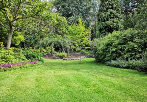 Optimiser l'expérience du jardin à Avesnes-sur-Helpe